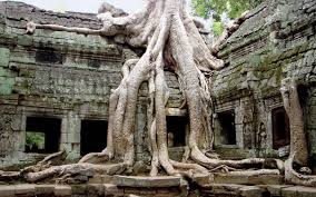 siem reap